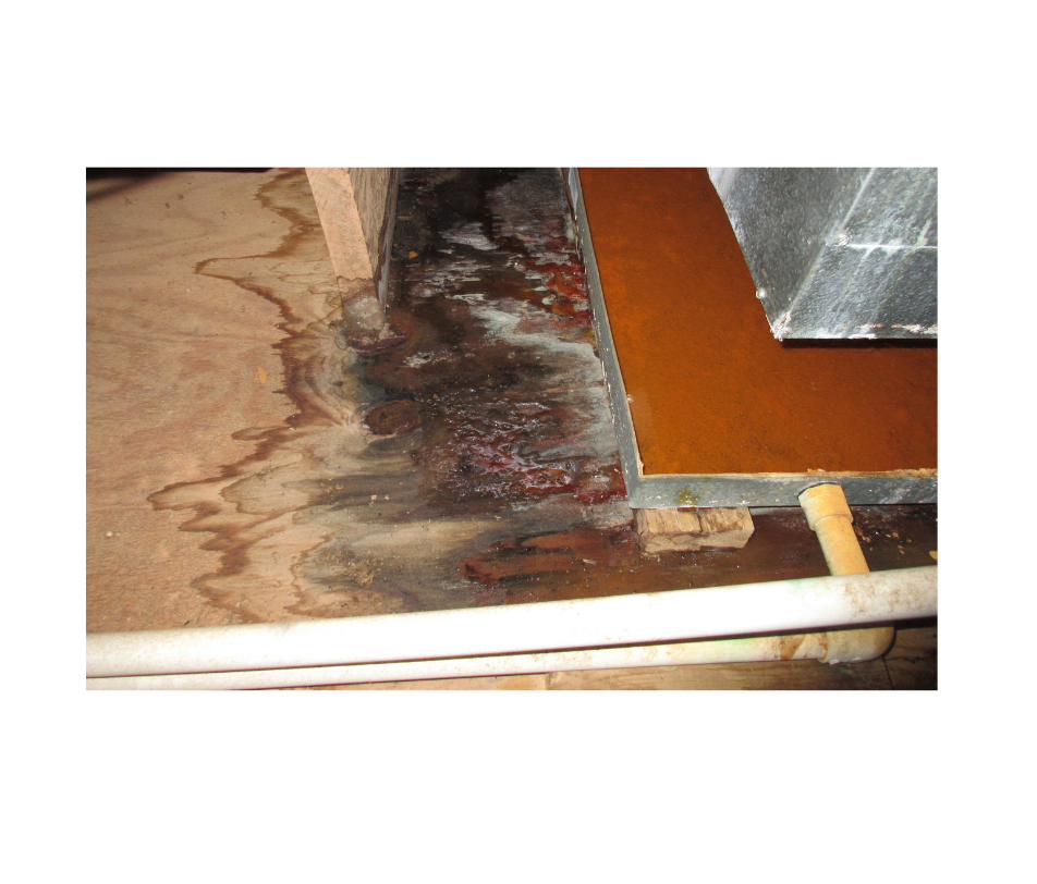 Water damage restoration